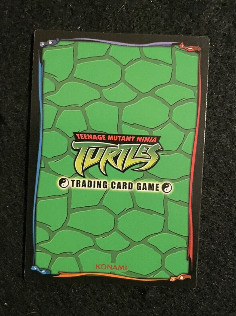 2004 Teenage Mutant Ninja Turtles (TMNT) Raphael Trading Card Game -1st Ed.