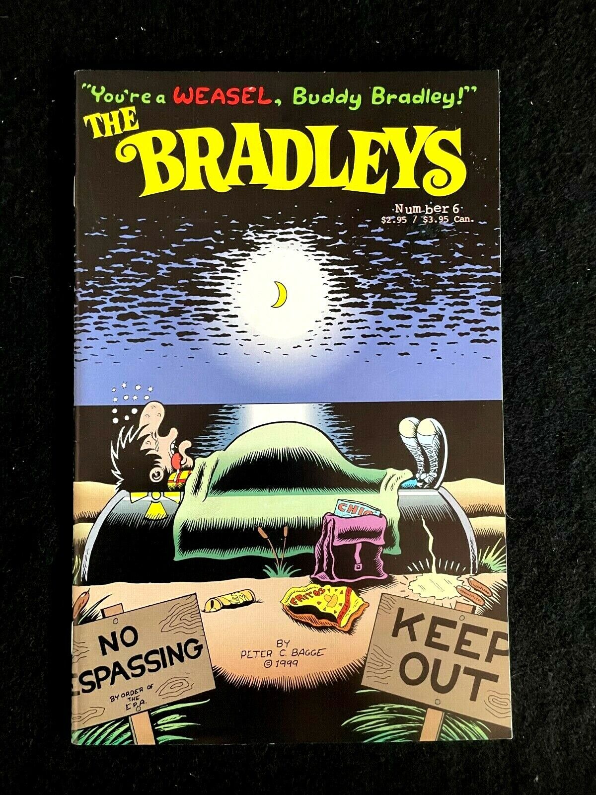 The Bradleys #6 2000 - HIGH GRADE - FINAL ISSUE